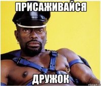 Присаживайся Дружок