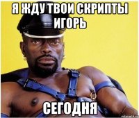 Я жду твои скрипты Игорь Сегодня