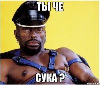 Ты Че Сука ?