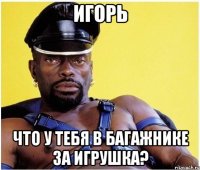 ИГОРЬ ЧТО У ТЕБЯ В БАГАЖНИКЕ ЗА ИГРУШКА?