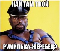 Как там твой Румилька-жеребец?