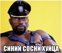  Синий сосни хуйца