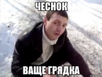 ЧЕСНОК ВАЩЕ ГРЯДКА