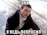 Соня Я ведь попросил