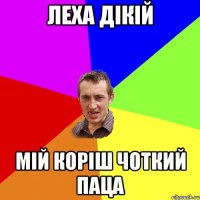 Леха Дікій Мій коріш чоткий паца
