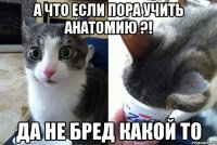 А что если пора учить анатомию ?! Да не бред какой то