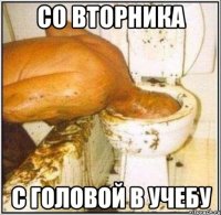 со вторника с головой в учебу