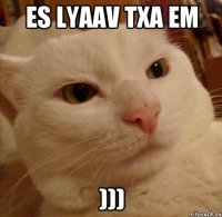 es lyaav txa em )))