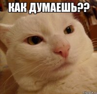 Как думаешь?? 