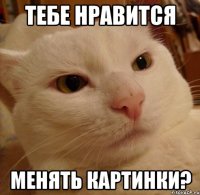 тебе нравится менять картинки?