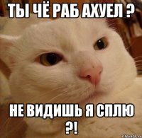 ты чё раб АХУЕЛ ? не видишь я сплю ?!