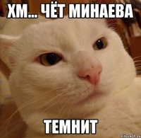 ХМ... ЧЁТ МИНАЕВА ТЕМНИТ