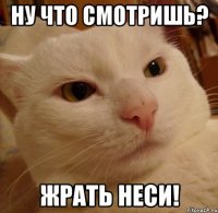 Ну что смотришь? Жрать неси!