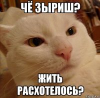 Чё зыриш? Жить расхотелось?