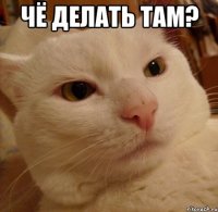 чё делать там? 