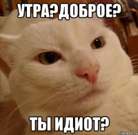 Утра?Доброе? Ты идиот?