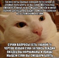 так все коты ёбоные севодня лето сучки а я сломал лапу блять ах вы суки смеётесь над омной ну я кинул на вас мешок с мачёи и кинул ёбаную доску щя вы будите в моче и в занозах и со сломономи ногами сучки вапросы есть 1 какой ту чёртов уёобок сука заткнсь пеидик пиздец вы норкаманы и убицы мышэи суки вы смешари блять