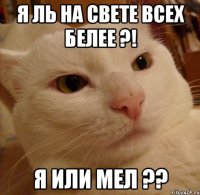 я ль на свете всех белее ?! я или мел ??