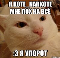 я kote_narkote мне пох на всё :3 я упорот