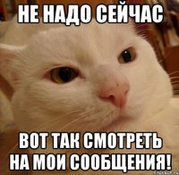 Не надо сейчас вот так смотреть на мои сообщения!