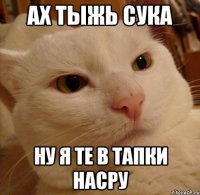 Ах тыжь сука ну я те в тапки насру