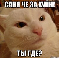 Саня че за хуйн! ты где?