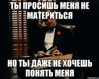 Ты просишь меня не материться но ты даже не хочешь понять меня