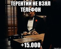 ТЕРЕНТИЙ НЕ ВЗЯЛ ТЕЛЕФОН +15.000