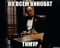 Во всем виноват Тимур