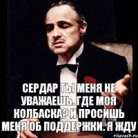 Сердар ты меня не уважаешь. Где моя колбаска? И просишь меня об поддержки. Я жду