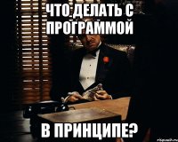 Что делать с программой в принципе?