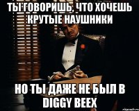 ты говоришь, что хочешь крутые наушники но ты даже не был в DIGGY BEEX