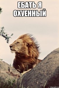 Ебать я охуенный 