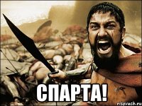  Спарта!