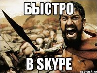 БЫСТРО В SKYPE