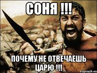 Соня !!! Почему не отвечаешь Царю !!!