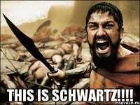  This is SCHWARTZ!!!!