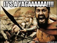 It's a Yagaaaaaa!!!! 