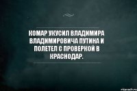 Комар укусил Владимира Владимировича Путина и полетел с проверкой в Краснодар.