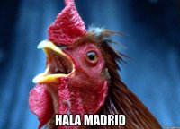  hala madrid