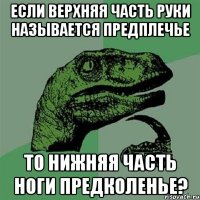 Если верхняя часть руки называется предплечье То нижняя часть ноги предколенье?