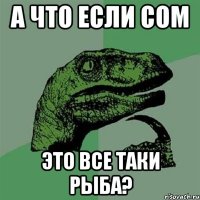 а что если сом это все таки рыба?