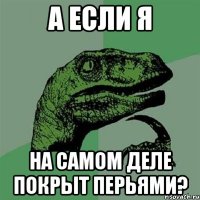 А если я На самом деле покрыт перьями?