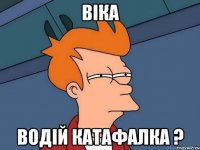 ВІКА ВОДІЙ КАТАФАЛКА ?