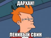 Дархан! Ленивый свин