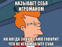 Называет себя игроманом Но когда зову в самп говорит что не игроман,WTF СУКА