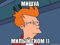 Мишуа Милый гном ))