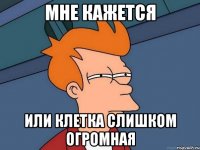 мне кажется или клетка слишком огромная