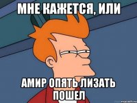 МНЕ КАЖЕТСЯ, ИЛИ АМИР ОПЯТЬ ЛИЗАТЬ ПОШЕЛ