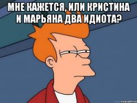 Мне кажется, или Кристина и Марьяна два идиота? 